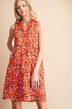 Print Dress