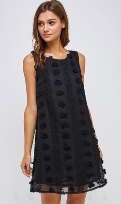 Floral Embroidered Sleeveless Dress